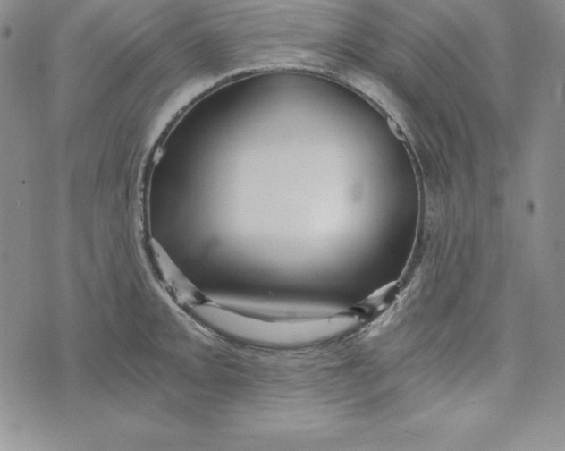 X0000074001093200609111552