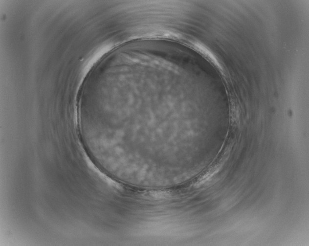 X0000074001095200609111552