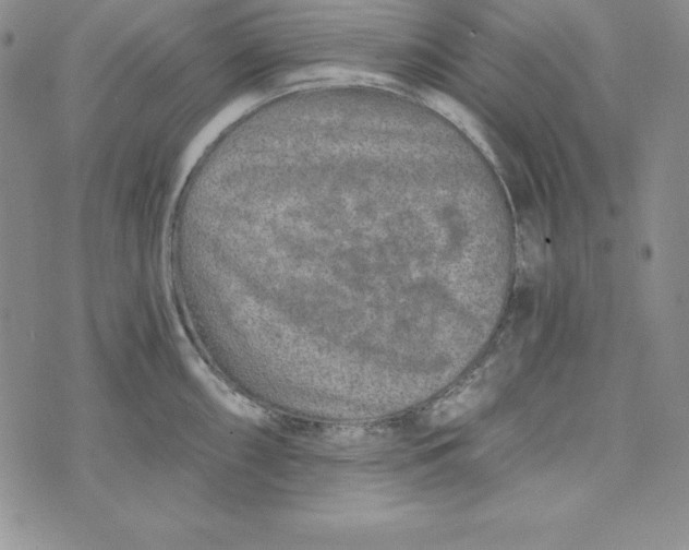 X0000074001098200609111552