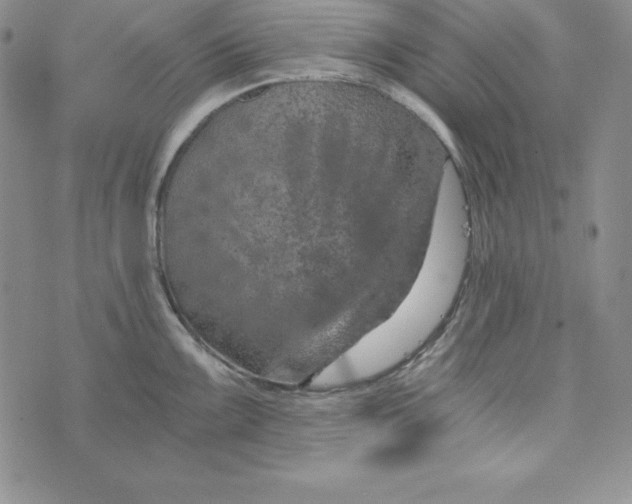 X0000074001099200609111552