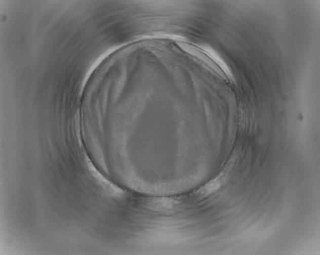 X0000074001100200609111552