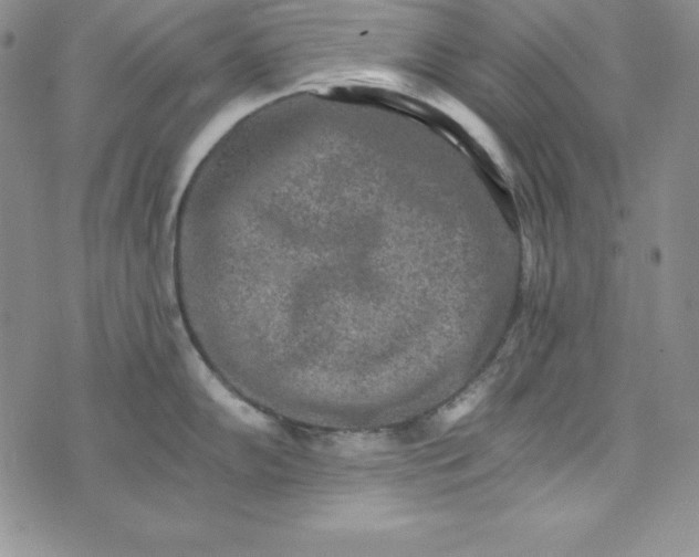 X0000074001102200609111552