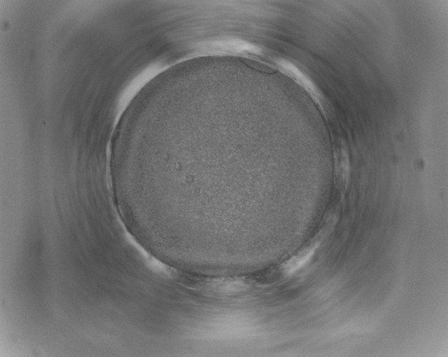 X0000074001103200609111552