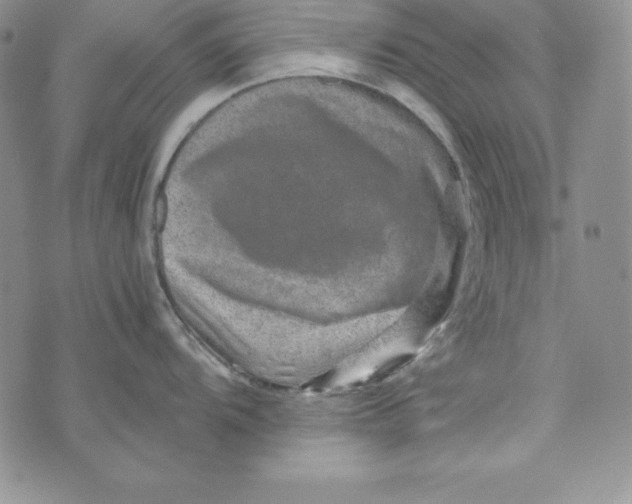 X0000074001104200609111552