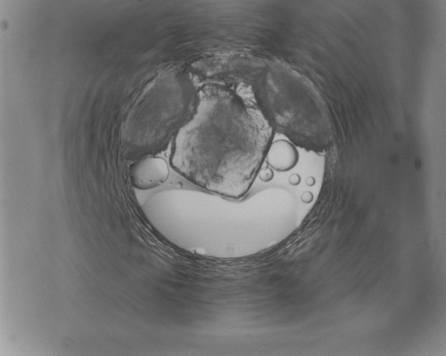 X0000074001105200609111551