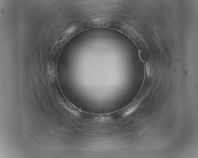 X0000074001107200609111551