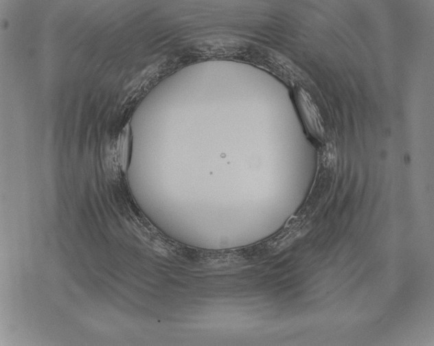 X0000074001108200609111551