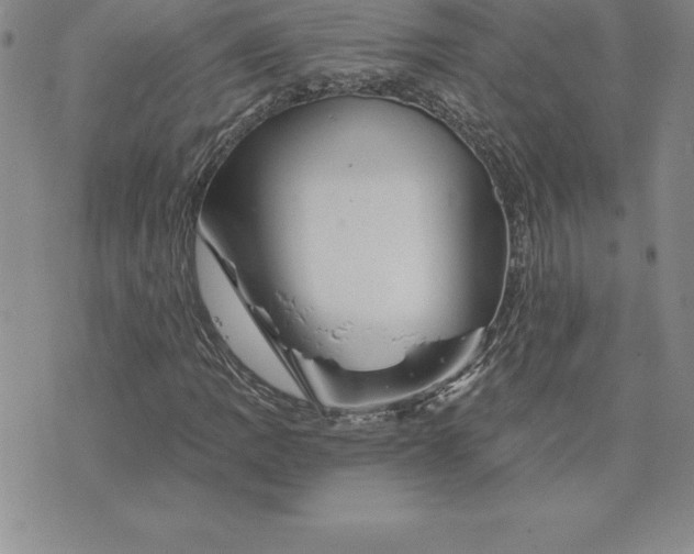 X0000074001109200609111551