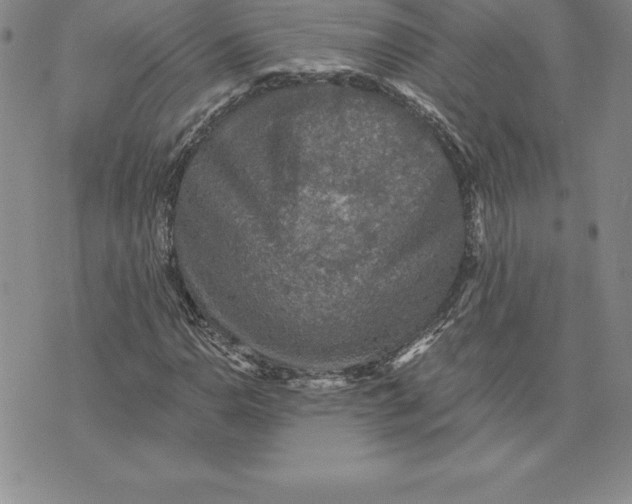 X0000074001110200609111551