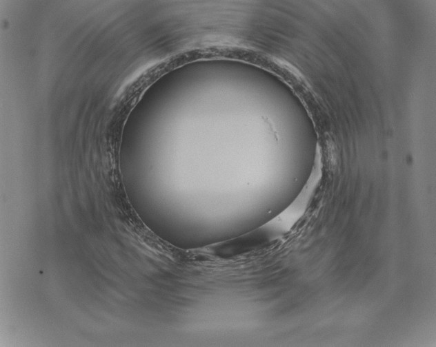 X0000074001112200609111551