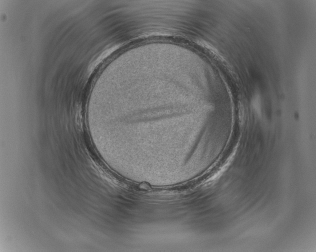 X0000074001113200609111551