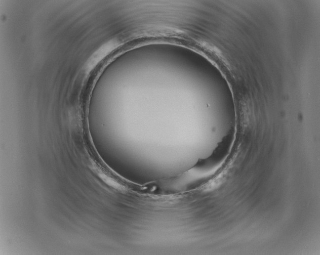 X0000074001114200609111551