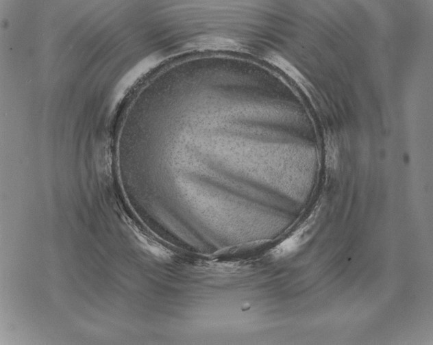 X0000074001115200609111551