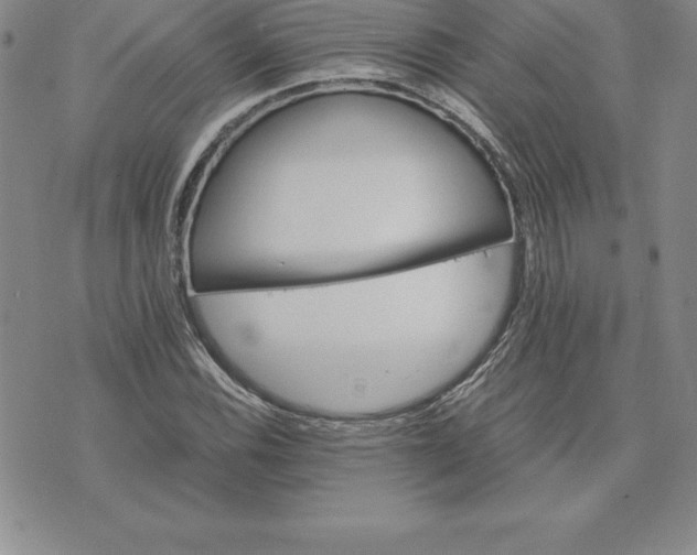 X0000074001116200609111551