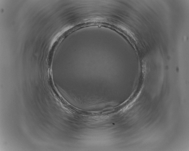 X0000074001117200609111551