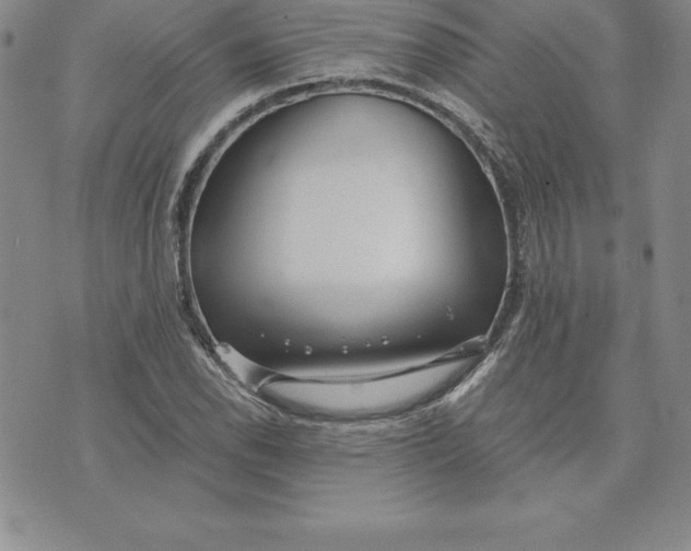 X0000074001118200609111551