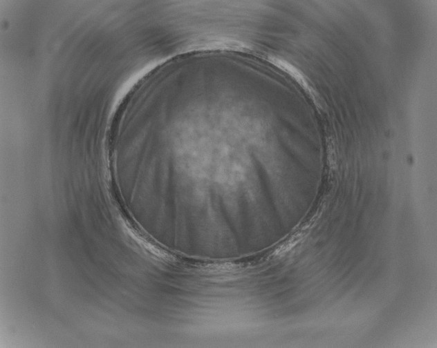 X0000074001120200609111551