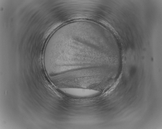 X0000074001121200609111551