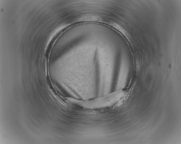 X0000074001123200609111551