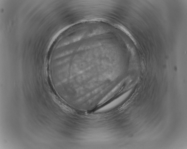 X0000074001124200609111551