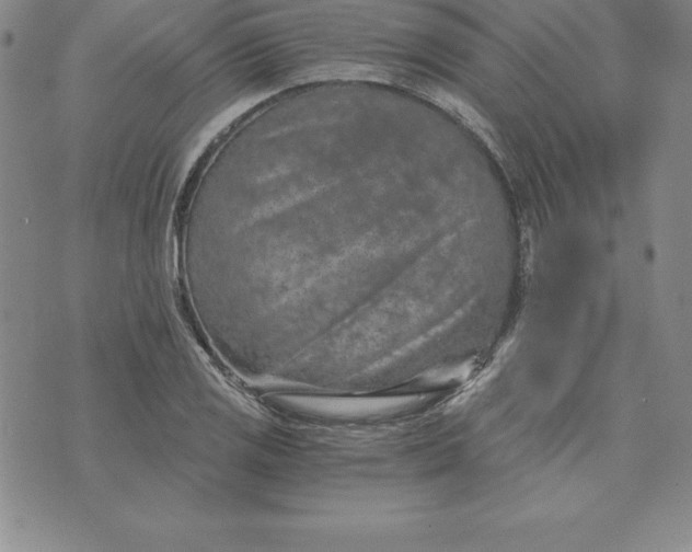 X0000074001125200609111551