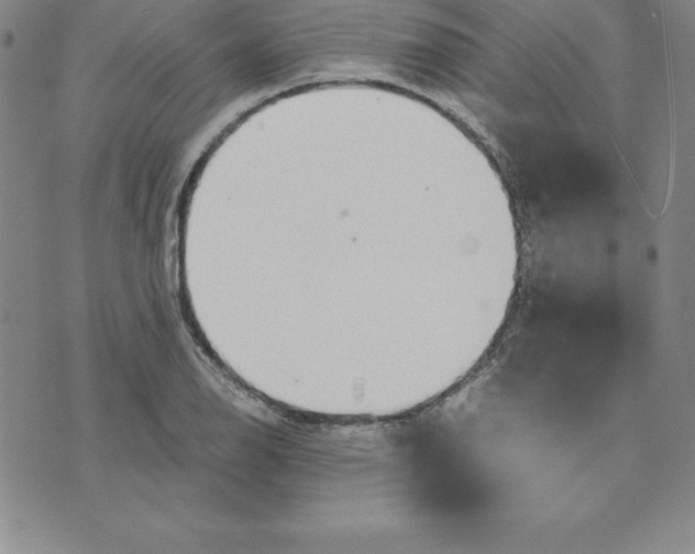 X0000074001126200609111551