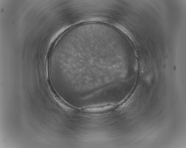 X0000074001127200609111551