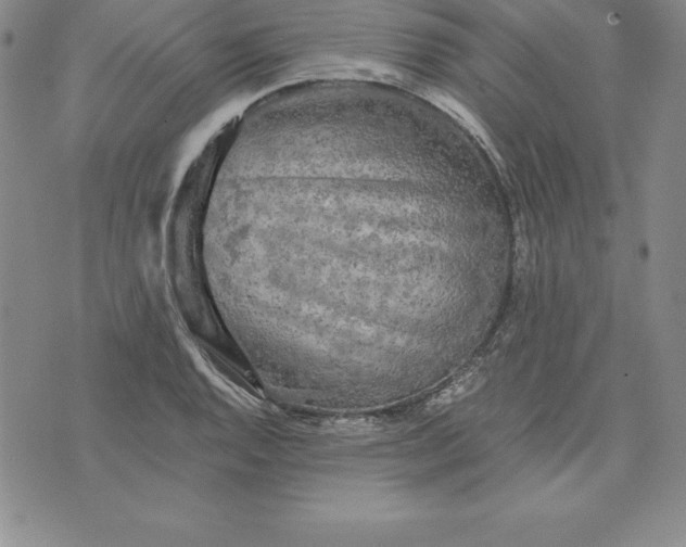 X0000074001128200609111551