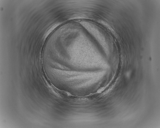 X0000074001129200609111552