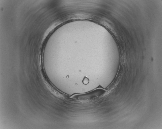 X0000074001130200609111552