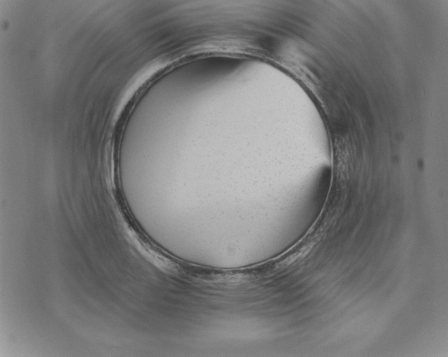 X0000074001131200609111552