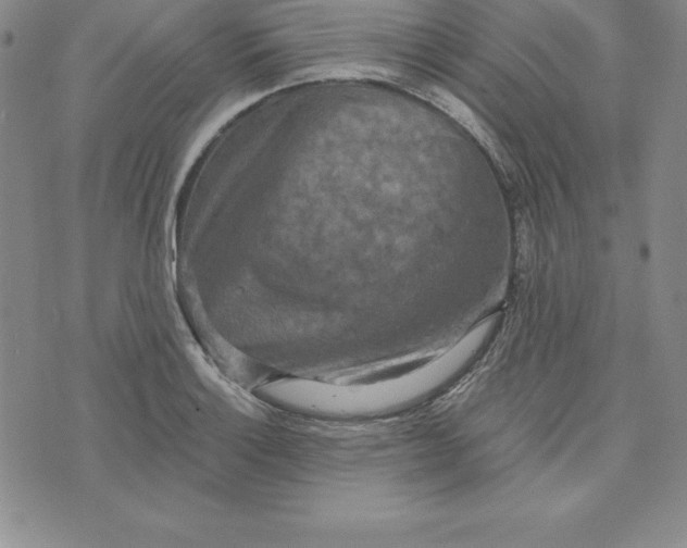 X0000074001132200609111552