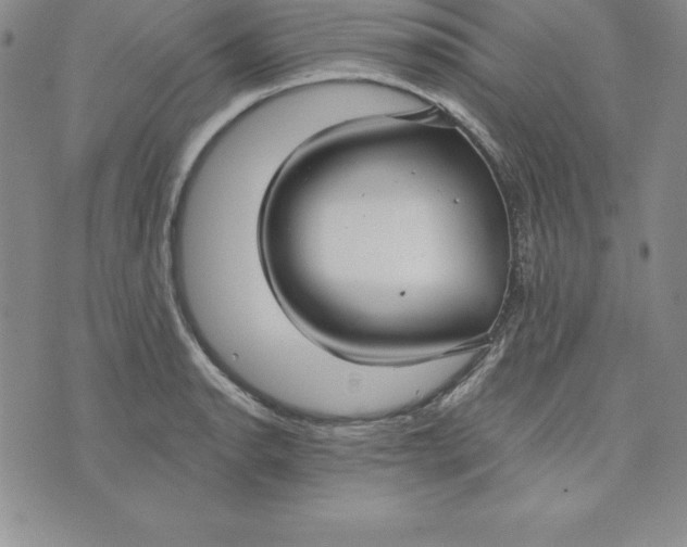 X0000074001134200609111552