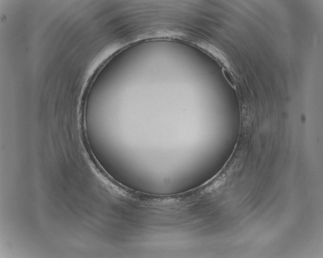 X0000074001135200609111552