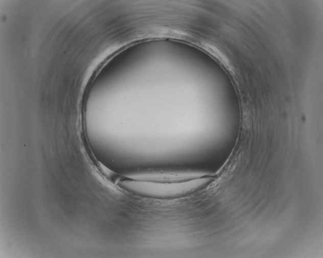 X0000074001136200609111552