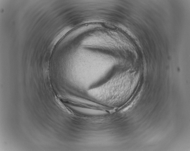 X0000074001137200609111552