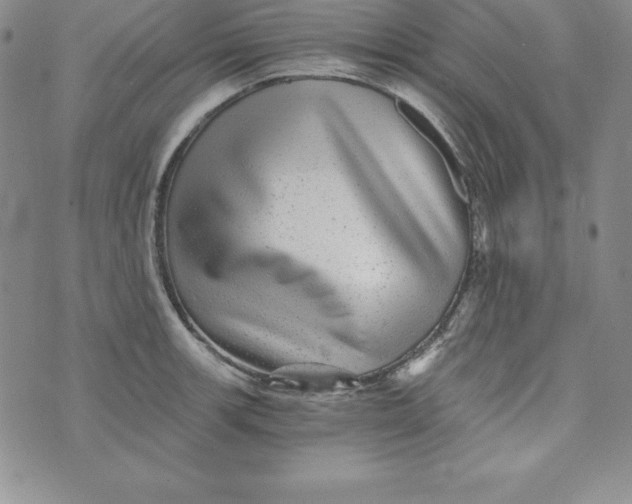 X0000074001139200609111552