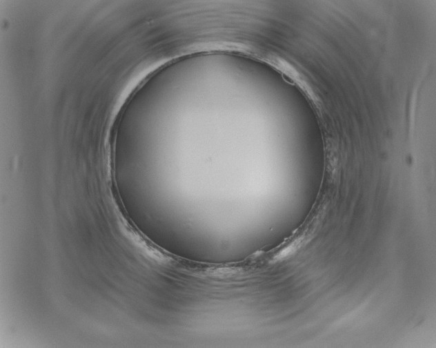 X0000074001140200609111552