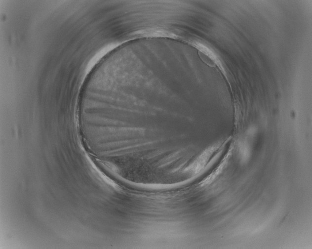 X0000074001141200609111552