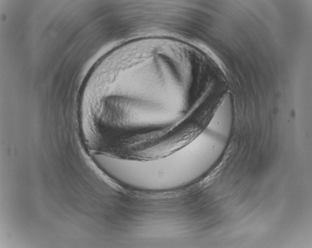 X0000074001142200609111552