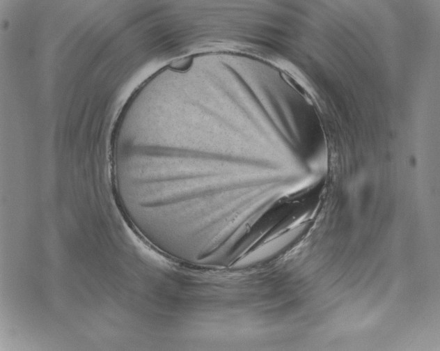 X0000074001143200609111552