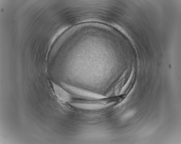 X0000074001145200609111552