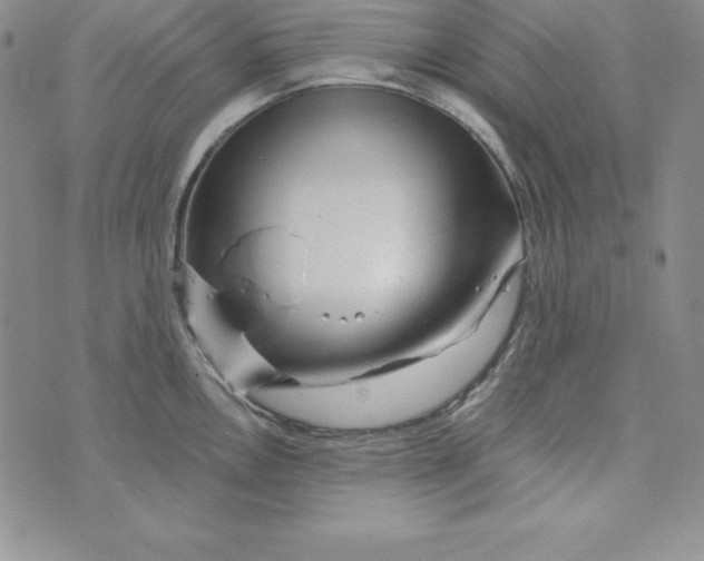 X0000074001146200609111552