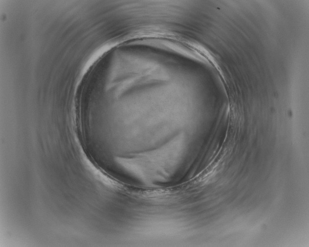 X0000074001147200609111552