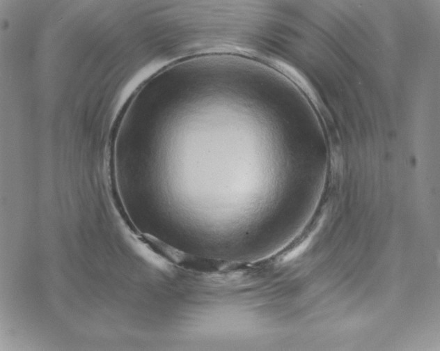 X0000074001149200609111552