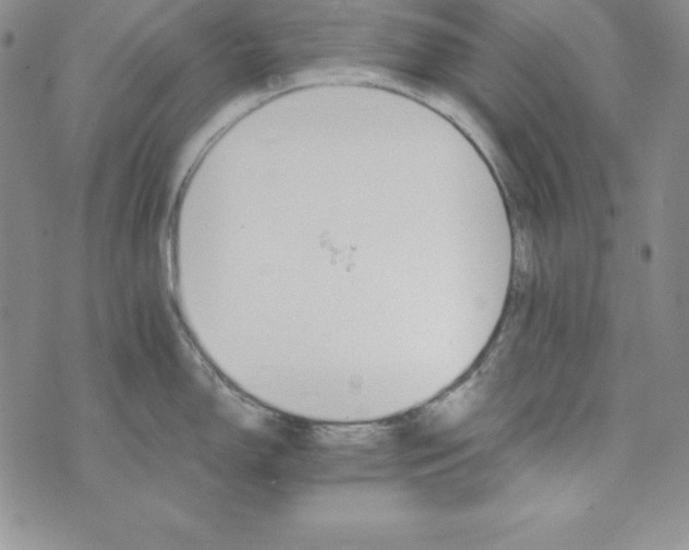 X0000074001150200609111552