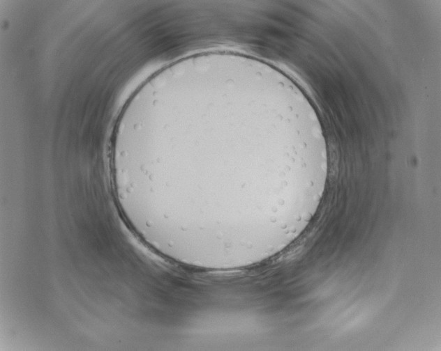 X0000074001151200609111552