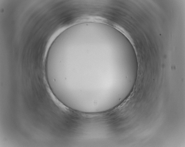 X0000074001152200609111552