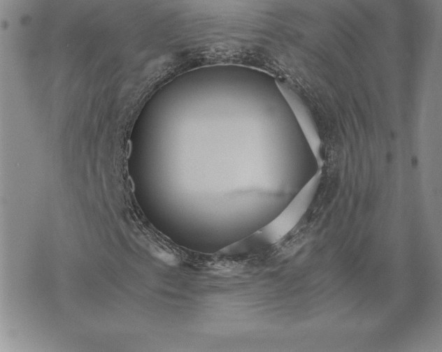 X0000074001153200609111551