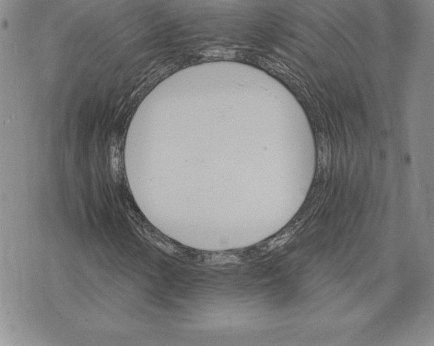 X0000074001154200609111551